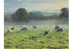 No frame image, click to enlarge