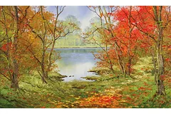 No frame image, click to enlarge
