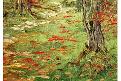 Signature image, click to enlarge