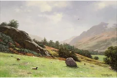 No frame image, click to enlarge