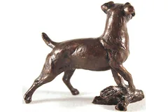 No frame image, click to enlarge