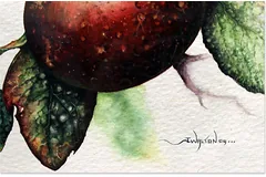 Signature image, click to enlarge