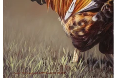 Signature image, click to enlarge