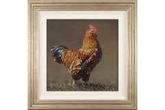 Large image, click to enlarge