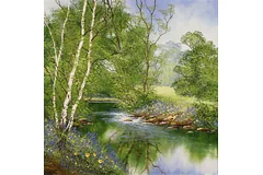 No frame image, click to enlarge