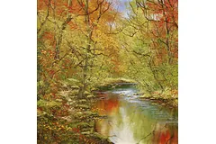 No frame image, click to enlarge