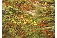 Signature image, click to enlarge