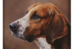 No frame image, click to enlarge