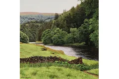 No frame image, click to enlarge