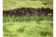 Signature image, click to enlarge