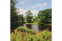 No frame image, click to enlarge