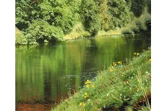 Signature image, click to enlarge