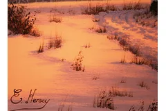 Signature image, click to enlarge