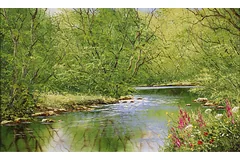 No frame image, click to enlarge