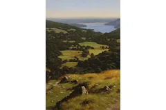 No frame image, click to enlarge