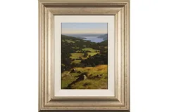 Large image, click to enlarge