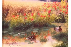 Signature image, click to enlarge