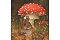 No frame image, click to enlarge