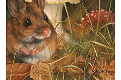 Signature image, click to enlarge