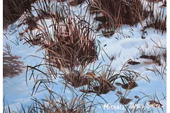 Signature image, click to enlarge