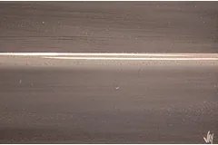 Signature image, click to enlarge