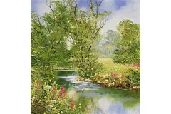 No frame image, click to enlarge