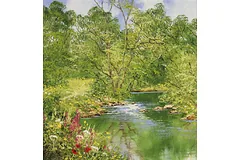 No frame image, click to enlarge