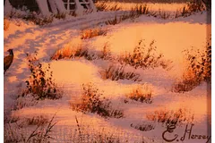 Signature image, click to enlarge