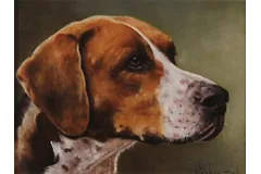No frame image, click to enlarge