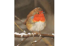 No frame image, click to enlarge