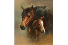 No frame image, click to enlarge