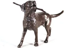 No frame image, click to enlarge