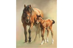 No frame image, click to enlarge