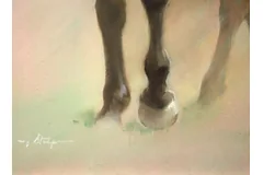 Signature image, click to enlarge