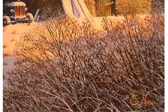 Signature image, click to enlarge