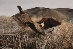 No frame image, click to enlarge