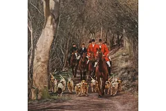 No frame image, click to enlarge