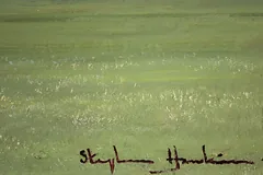 Signature image, click to enlarge