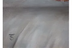 Signature image, click to enlarge