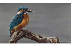 No frame image, click to enlarge