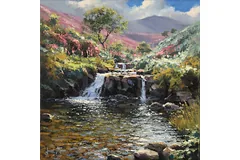 No frame image, click to enlarge