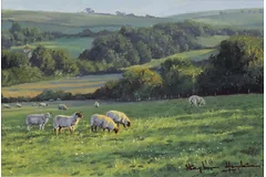 No frame image, click to enlarge