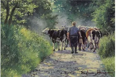 No frame image, click to enlarge