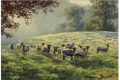 No frame image, click to enlarge