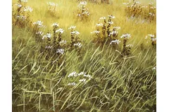 Signature image, click to enlarge