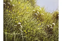 Signature image, click to enlarge