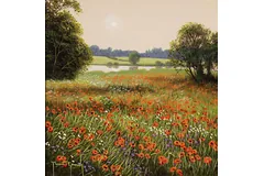 No frame image, click to enlarge