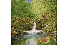 No frame image, click to enlarge