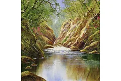 No frame image, click to enlarge