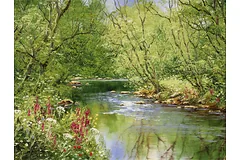 No frame image, click to enlarge